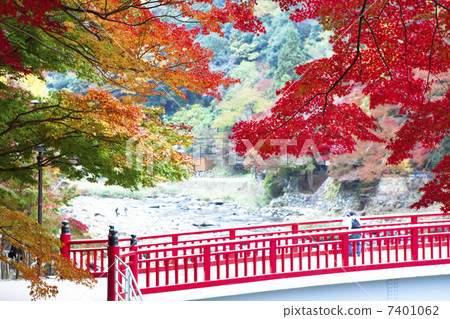 Konami河秋葉 7401062