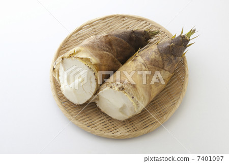 bamboo shoots bamboo shoots 7401097