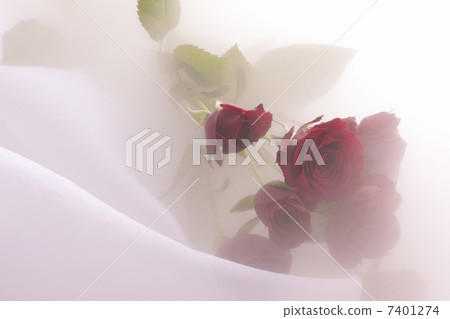 玫瑰花束 7401274