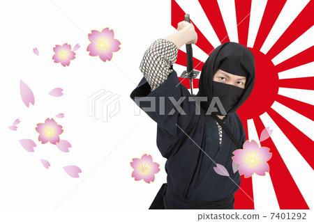 Ninja Ninja 7401292
