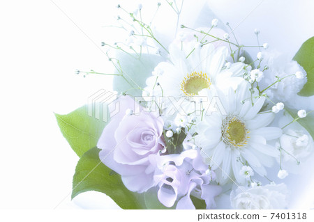 一束 一束 7401318