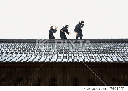 Ninja Ninja 7401351