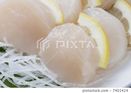 扇貝生魚片 扇貝生魚片 7401424