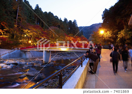 Autumn leaves of Konami River 7401869