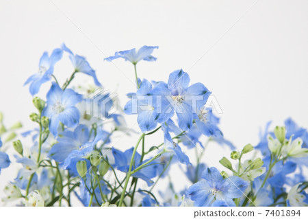 Derufinyumu Derufinyumu 7401894