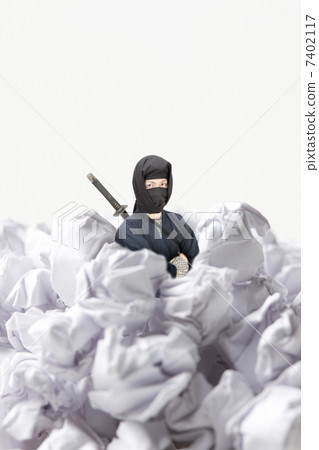 Ninja 7402117
