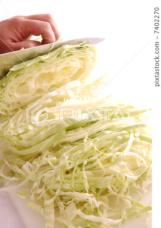 cabbage cabbage 7402270