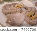 新鮮的章魚 7402700