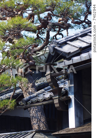 Udazu已經上升 Udazu已經上升 7402944