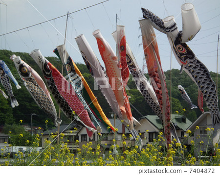    Carp streamer 7404872