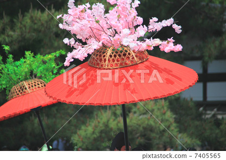 葵節 葵節 7405565