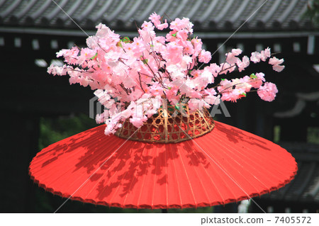 Aoi Festival 7405572