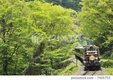 Fresh green 2 7405755