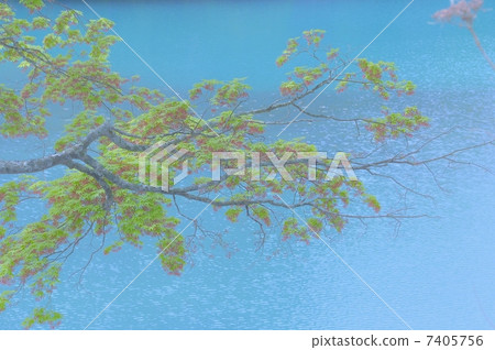 Landscape of Goshikinuma Landscape of Goshikinuma 7405756
