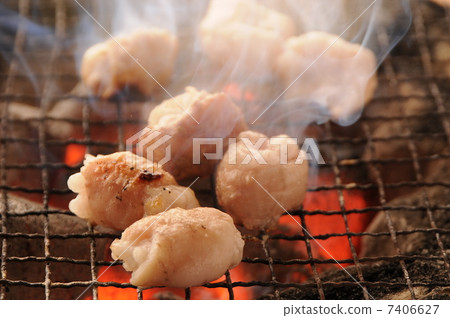 深白色激素 7406627