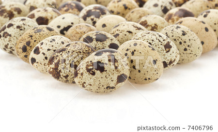 quail egg on white quail egg on white 7406796