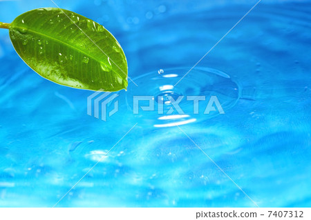 Nature Nature 7407312