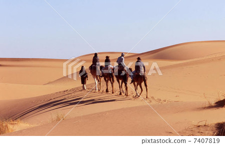 Sahara Desert Sahara Desert 7407819