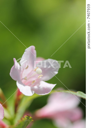 Valley of the valley 7407939