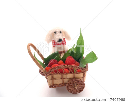 野草莓採摘 7407968