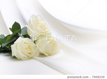 roses bouquet on silk 7409230