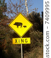 動物 7409995