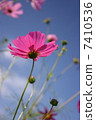 Cosmos 7410536