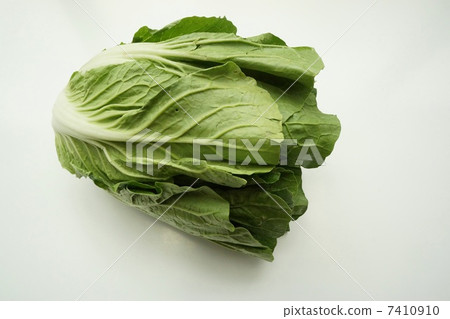 Mini Chinese cabbage Tiny chouchu 7410910