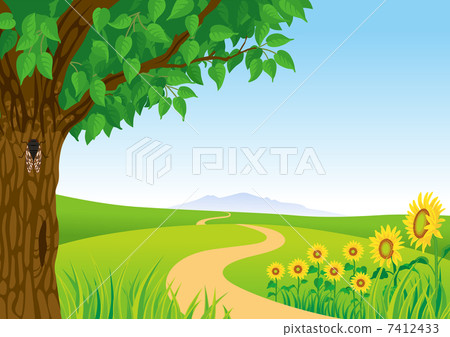 夏季/風景/蟬/向日葵 7412433