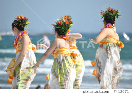 在海灘的草裙舞 7412671