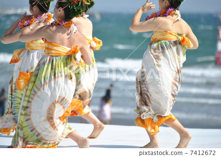 Hula at the beach 7412672