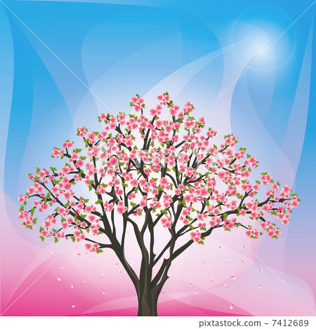 Spring blue - pink background with sakura -... - Stock Illustration ...