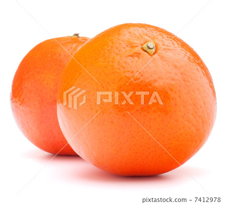 tangerine or mandarin fruit tangerine or mandarin fruit 7412978
