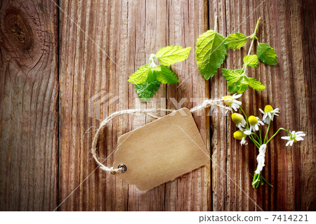 薄荷和洋甘菊和標籤 7414221