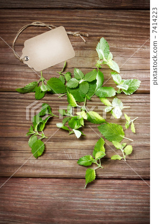 薄荷和標籤 7414223