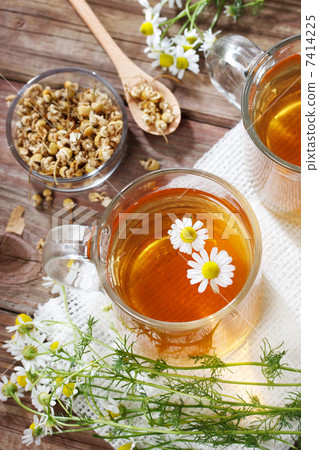 洋甘菊茶 洋甘菊茶 7414225