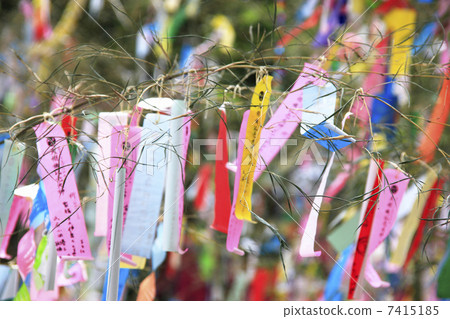 Star Festival  7415185