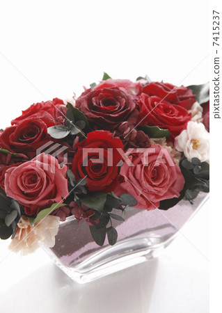 玫瑰 玫瑰 7415237