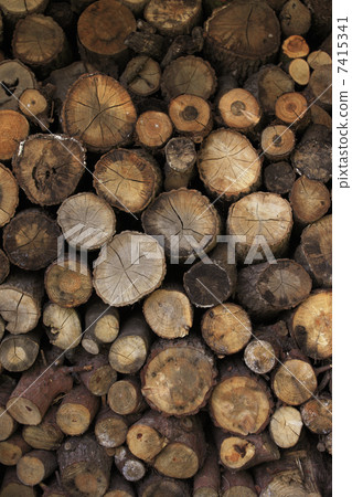 Firewood Firewood 7415341