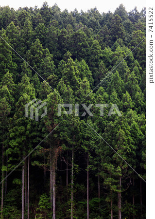 高山山脈 高山山脈 7415522