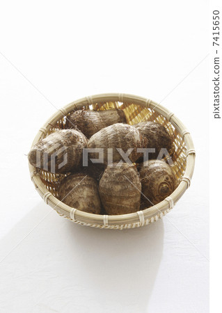 Taro Taro 7415650