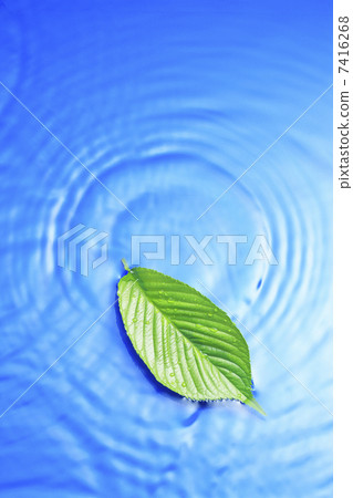 漣漪和葉子 7416268