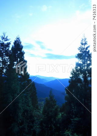 Mountain ranges of Koyasan and Takano cedar Mountain ranges of Koyasan and Takano cedar 7416313