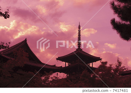 Evening view of Horyu-ji Temple 7417481