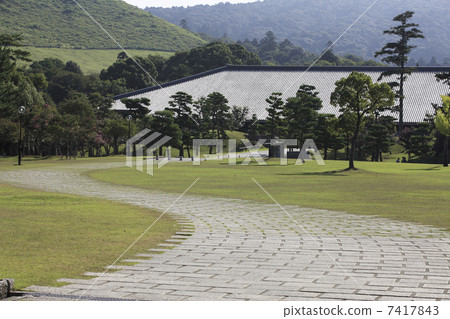 奈良公園 奈良公園 7417843