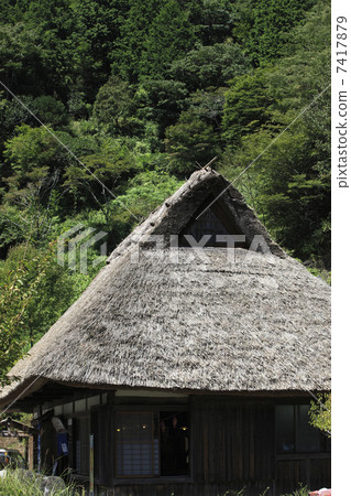 Thatched roof 7417879