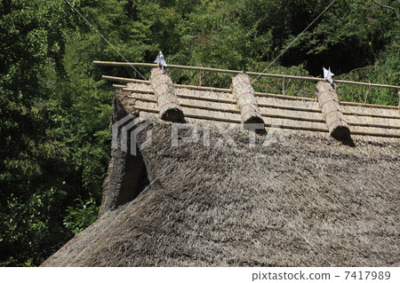 Thatched roof Thatched roof 7417989