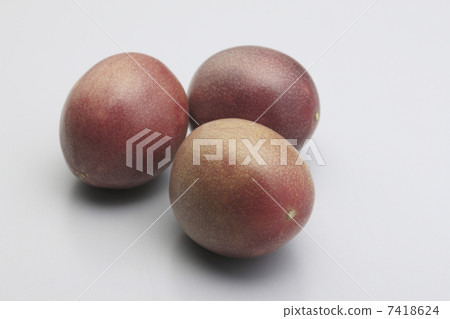 passion fruit  7418624