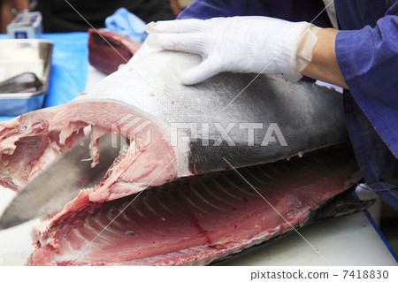 Tuna demolition show 7418830