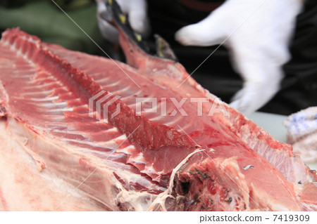 Tuna demolition show 7419309